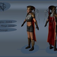 Портфолио Pit